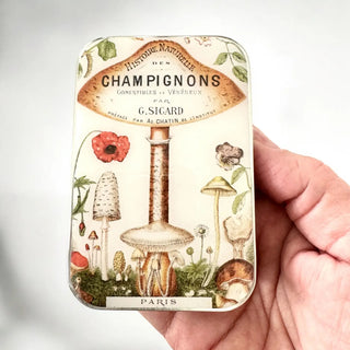 Champignons Notions Tin