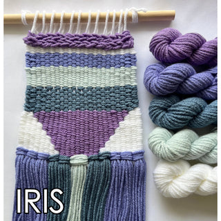 Learn How to Weave Kit