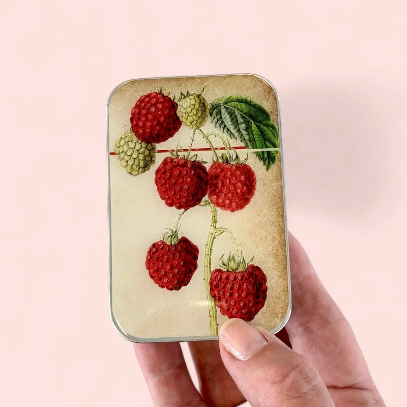 Raspberry Notions Tin | The Craftivist