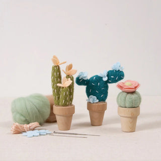 completed cactus needle felting kits from benzie designs