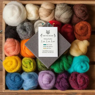 Needle Felting Starter Kit