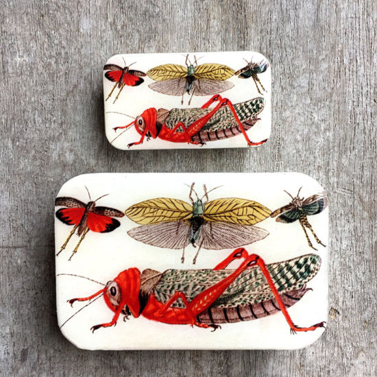 Cricket notions tin in two sizes