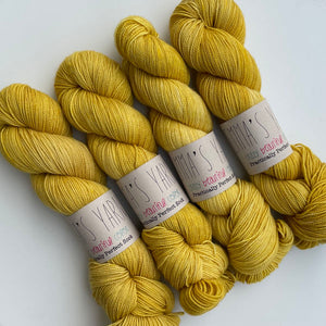 Emma's Yarn Practically Perfect Sock Yarn in Buttonwood