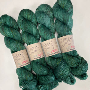 Emma's Yarn Practically Perfect Sock Yarn in Canopy