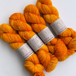 Emma's Yarn Practically Perfect Sock Yarn in Floridian Zest