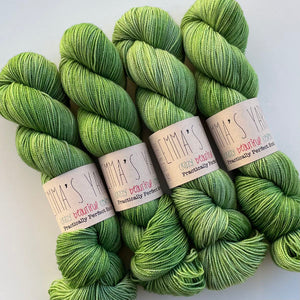 Emma's Yarn Practically Perfect Sock Yarn in Freshly Cut