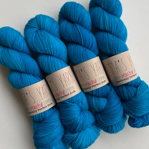 Emma's Yarn Practically Perfect Sock Yarn in Pure