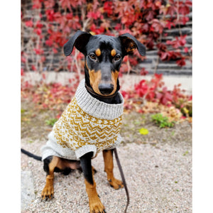 dog wearing a fair isle dog sweater