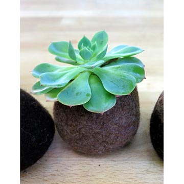 Felted pod plant holder