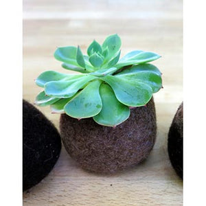 Felted pod plant holder
