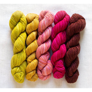 Manos del Uruguay Fino mini skein set Alice