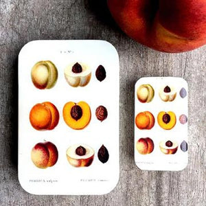 Peach notions tin both large and small sizes