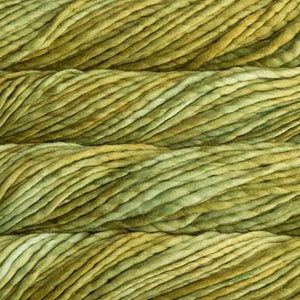 Malabrigo Rasta-Lettuce-The Craftivist Atlanta