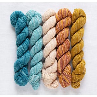 Manos del Uruguay Fino Mini Skein Set Phoebe