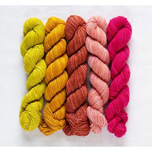 Manos del Uruguay Fino Mini Skein Set Sybil