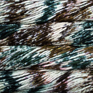 Rasta Pintada in Carosel