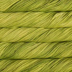 Malabrigo Rios in Apple Green