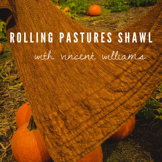 Intermediate Knitting: Rolling Pastures Shawl