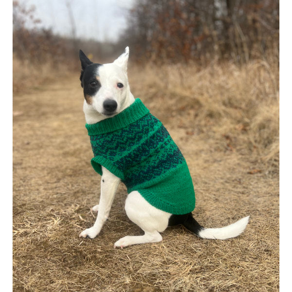 dog wearing a colorwork dog sweater
