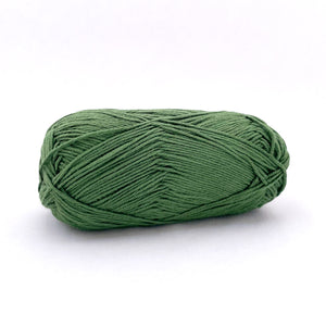 BC Garn Summer in Kashmir in Green